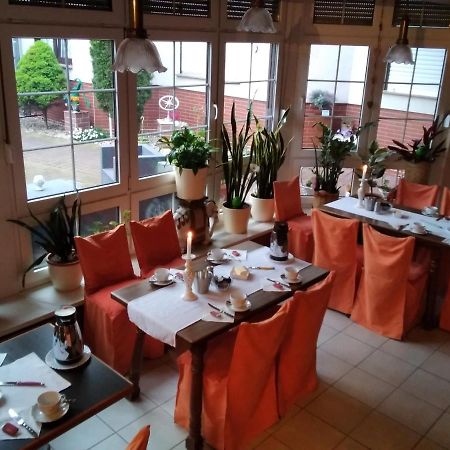 Pension Schulze 볼리츠 외부 사진